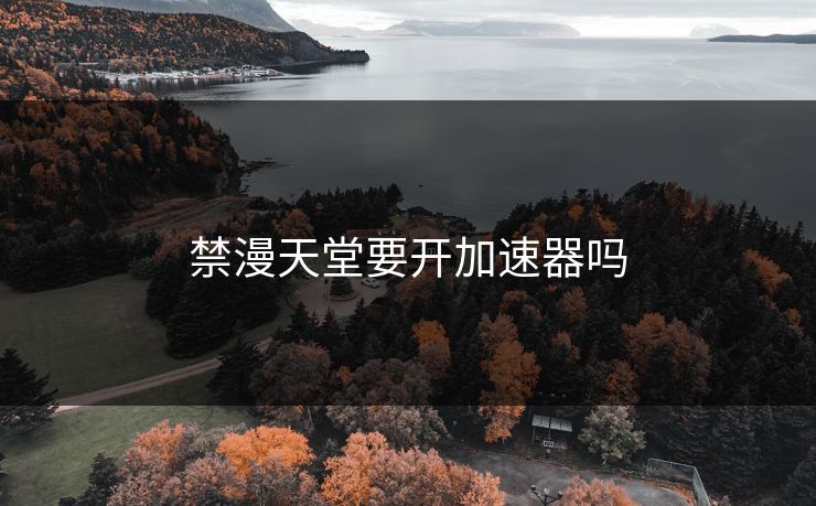 禁漫天堂要开加速器吗