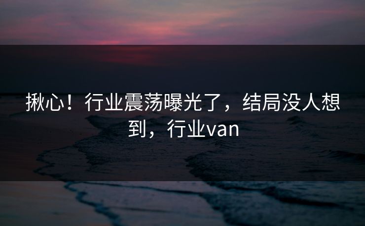 揪心！行业震荡曝光了，结局没人想到，行业van