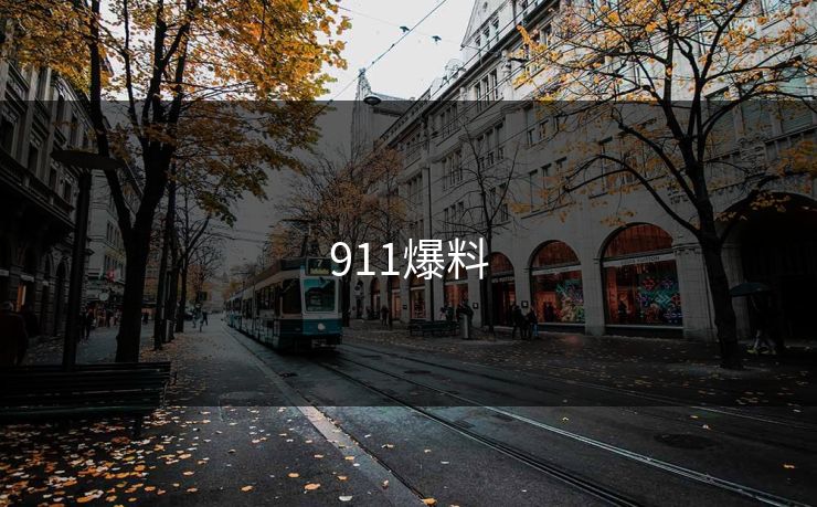 911爆料