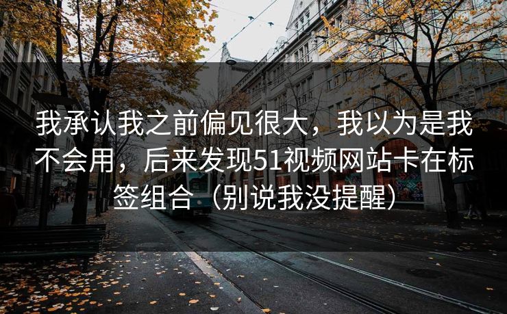 我承认我之前偏见很大，我以为是我不会用，后来发现51视频网站卡在标签组合（别说我没提醒）