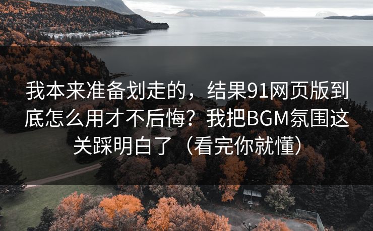 我本来准备划走的，结果91网页版到底怎么用才不后悔？我把BGM氛围这关踩明白了（看完你就懂）